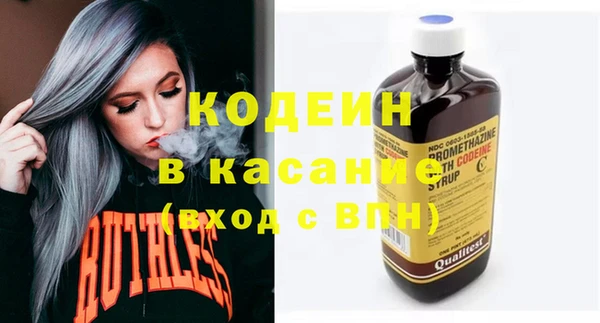гидра Богданович
