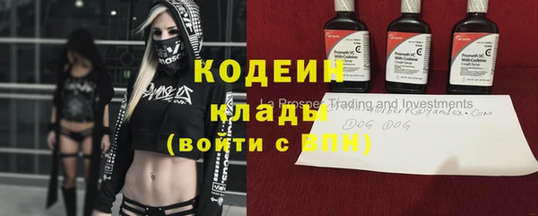 гидра Богданович