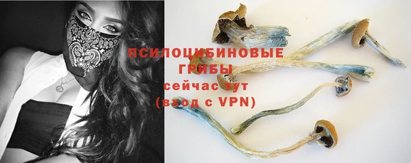 гидра Богданович