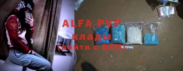 гидра Богданович