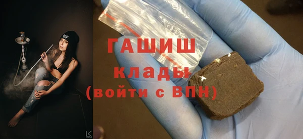 гидра Богданович