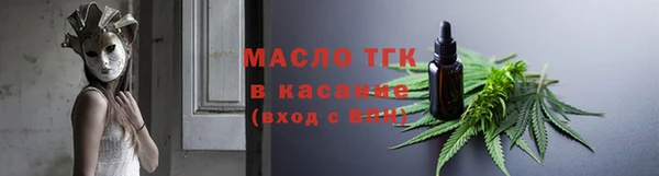 гидра Богданович