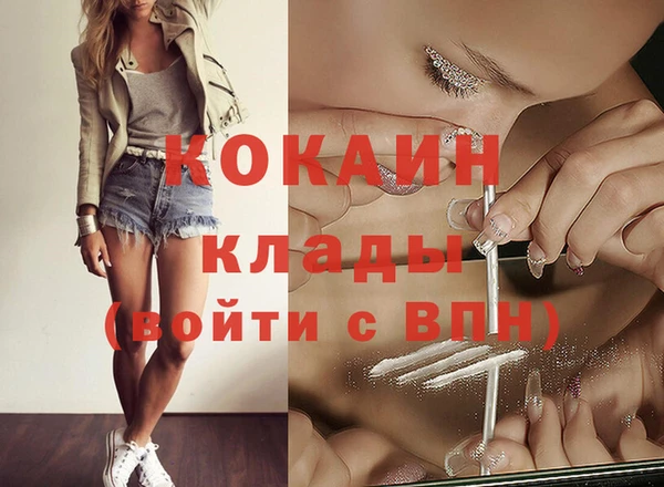 гидра Богданович