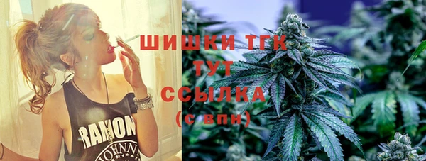 гидра Богданович