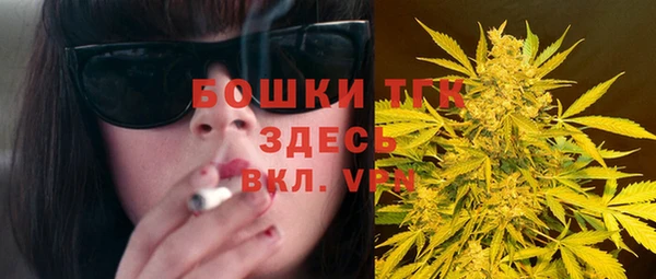 гидра Богданович