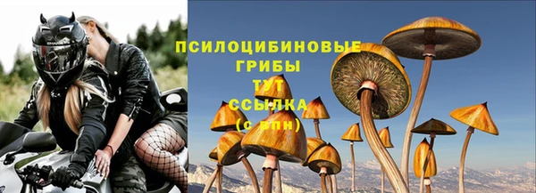 гидра Богданович