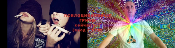 гидра Богданович