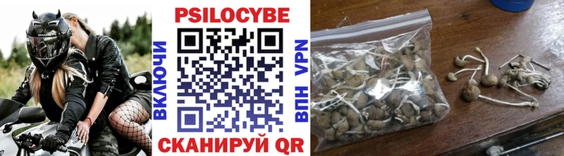 мориарти наркотические препараты где продают наркотики Йошкар-Ола Галлюциногенные грибы мицелий